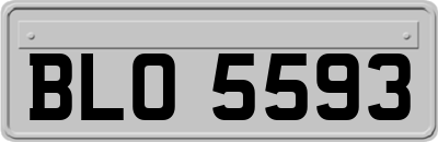 BLO5593