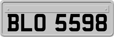 BLO5598