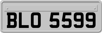 BLO5599