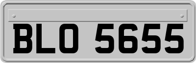 BLO5655