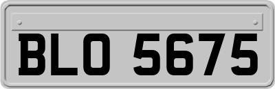 BLO5675