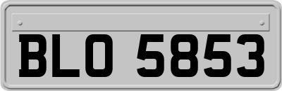 BLO5853