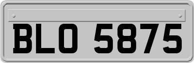 BLO5875