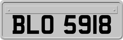 BLO5918