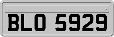 BLO5929