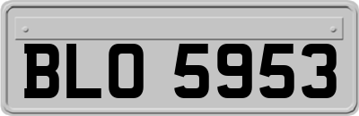 BLO5953