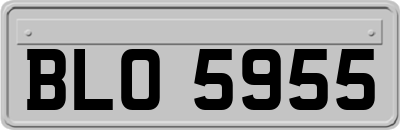 BLO5955