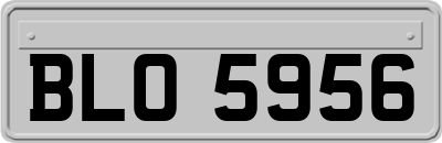 BLO5956