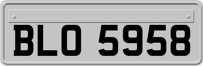 BLO5958
