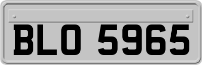 BLO5965