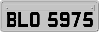 BLO5975