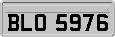 BLO5976