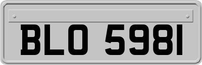 BLO5981