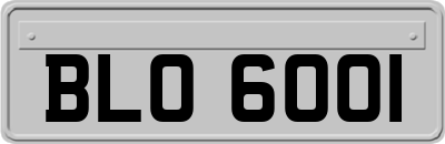 BLO6001