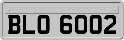 BLO6002