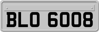 BLO6008