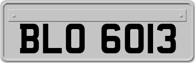 BLO6013