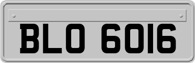 BLO6016