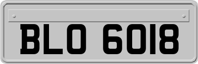 BLO6018