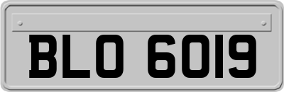 BLO6019