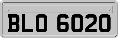 BLO6020