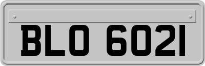 BLO6021