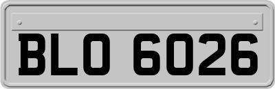 BLO6026