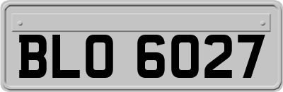BLO6027