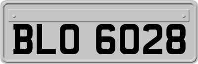 BLO6028