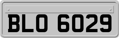 BLO6029