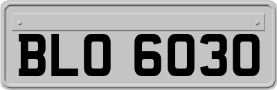 BLO6030