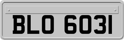 BLO6031