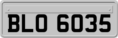 BLO6035