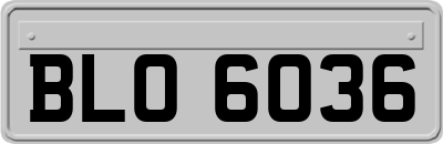 BLO6036