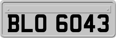 BLO6043