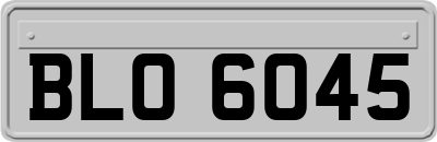 BLO6045