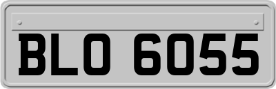 BLO6055