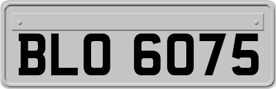 BLO6075