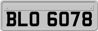 BLO6078