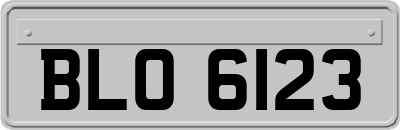 BLO6123