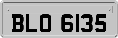 BLO6135