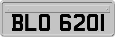 BLO6201