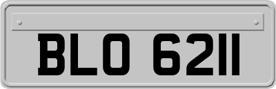 BLO6211