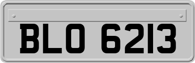 BLO6213