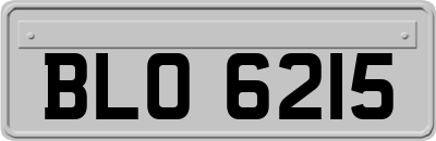 BLO6215