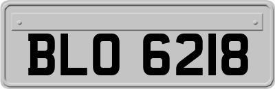 BLO6218