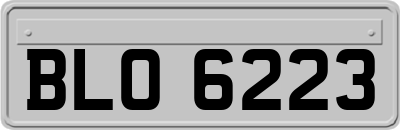 BLO6223