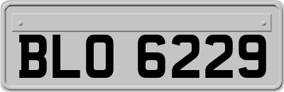 BLO6229