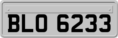 BLO6233