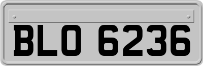 BLO6236